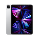 iPad Pro 11" 256gb Wifi 2021 | Phonelectrics
